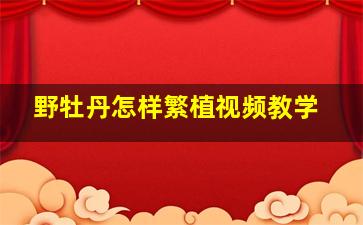 野牡丹怎样繁植视频教学