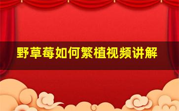 野草莓如何繁植视频讲解