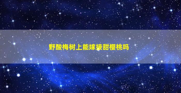 野酸梅树上能嫁接甜樱桃吗