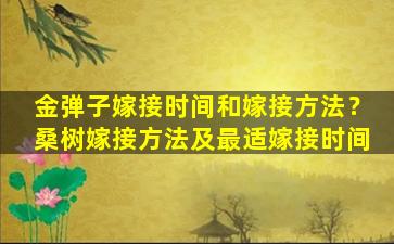 金弹子嫁接时间和嫁接方法？桑树嫁接方法及最适嫁接时间