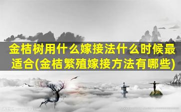 金桔树用什么嫁接法什么时候最适合(金桔繁殖嫁接方法有哪些)