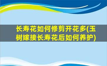 长寿花如何修剪开花多(玉树嫁接长寿花后如何养护)