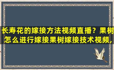 长寿花的嫁接方法视频直播？果树怎么进行嫁接果树嫁接技术视频,嫁接方法图解