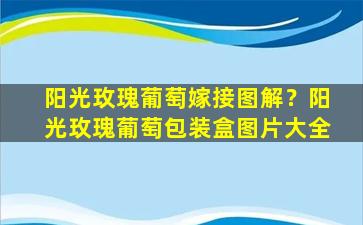 阳光玫瑰葡萄嫁接图解？阳光玫瑰葡萄包装盒图片大全