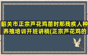 韶关市正宗芦花鸡苗时那残疾人种养殖培训开班讲稿(正宗芦花鸡的做法)