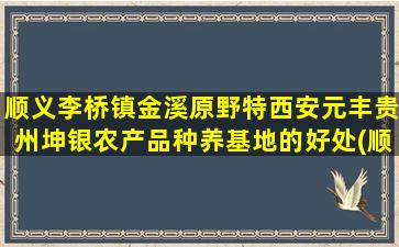 顺义李桥镇金溪原野特西安元丰贵州坤银农产品种养基地的好处(顺义李桥镇)