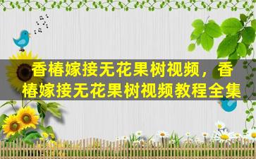 香椿嫁接无花果树视频，香椿嫁接无花果树视频教程全集