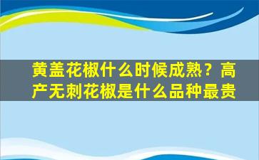 黄盖花椒什么时候成熟？高产无刺花椒是什么品种最贵