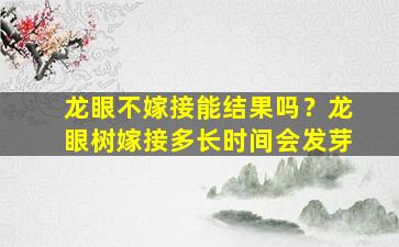 龙眼不嫁接能结果吗？龙眼树嫁接多长时间会发芽