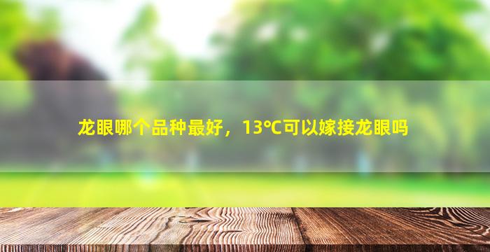 龙眼哪个品种最好，13℃可以嫁接龙眼吗