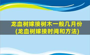 龙血树嫁接树木一般几月份(龙血树嫁接时间和方法)